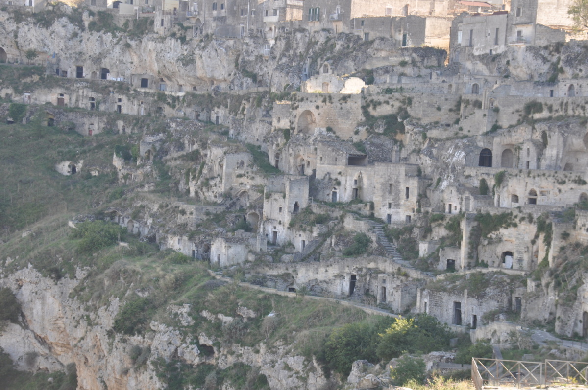 DSC_5247